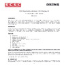 SCSC-Data-Safety-Initiative-Meeting-54-FINAL.pdf