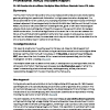 DS Example AI Accident Report