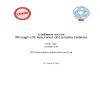 v0.18-guidance-41.pdf